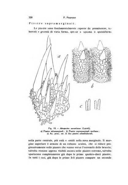 Bollettino di zoologia