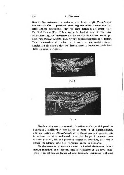 Bollettino di zoologia