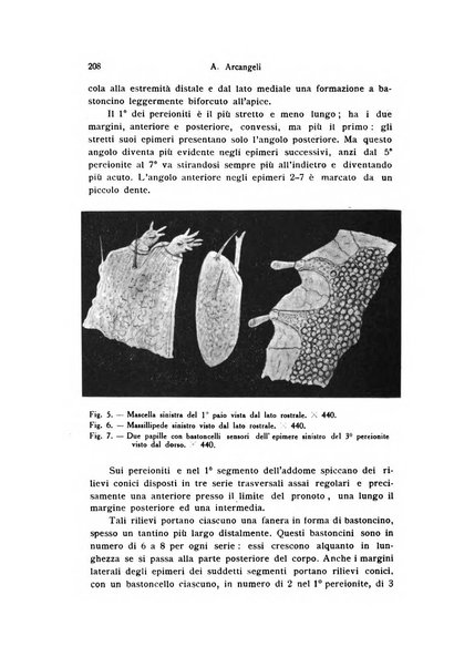 Bollettino di zoologia