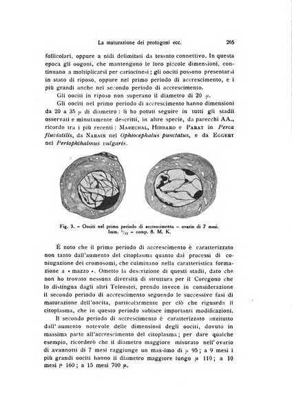 Bollettino di zoologia