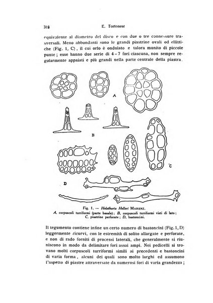 Bollettino di zoologia