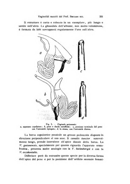 Bollettino di zoologia