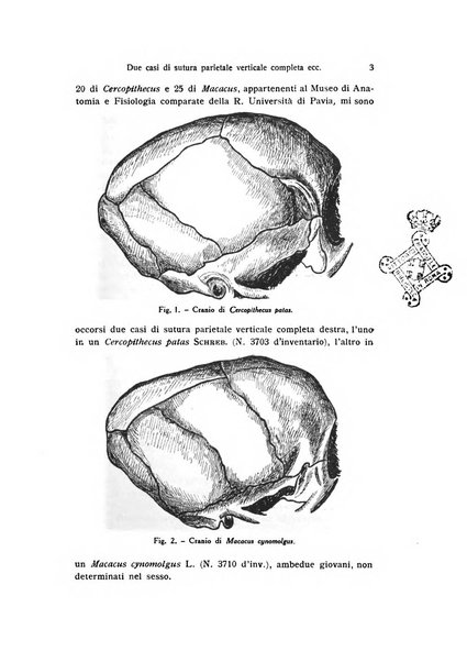 Bollettino di zoologia