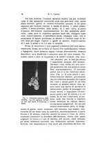 giornale/TO00212453/1936/unico/00000046