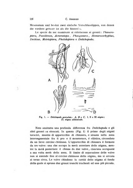 Bollettino di zoologia