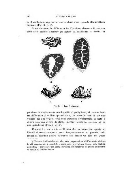 Bollettino di zoologia