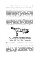 giornale/TO00212453/1936/unico/00000177