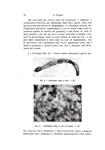 Bollettino di zoologia