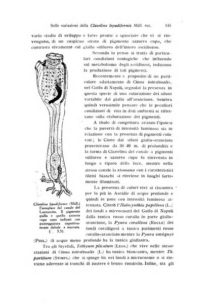 Bollettino di zoologia