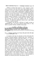 giornale/TO00212453/1939/unico/00000075