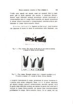 giornale/TO00212453/1939/unico/00000191