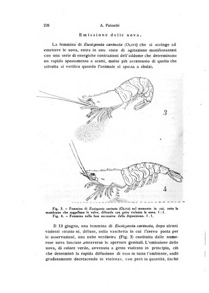 Bollettino di zoologia