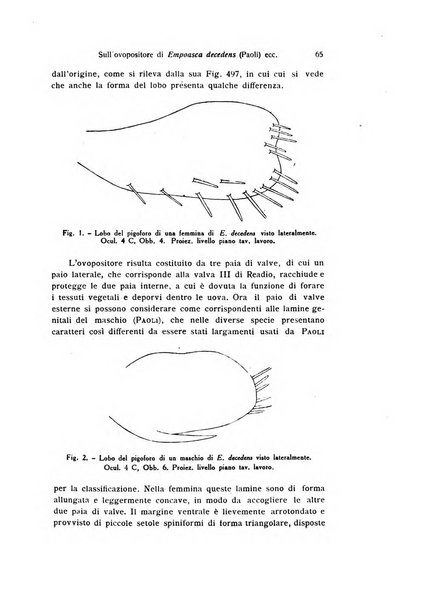 Bollettino di zoologia