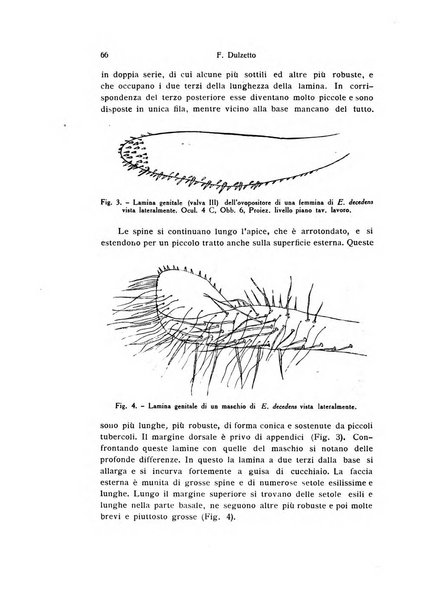 Bollettino di zoologia