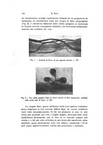 Bollettino di zoologia