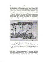 giornale/TO00212453/1941/unico/00000054