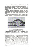 giornale/TO00212453/1941/unico/00000057