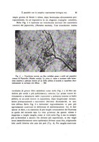 giornale/TO00212453/1941/unico/00000109