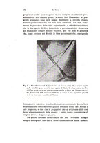giornale/TO00212453/1941/unico/00000216