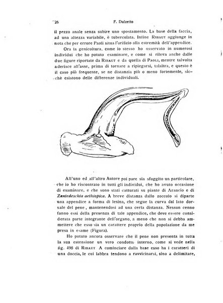 Bollettino di zoologia