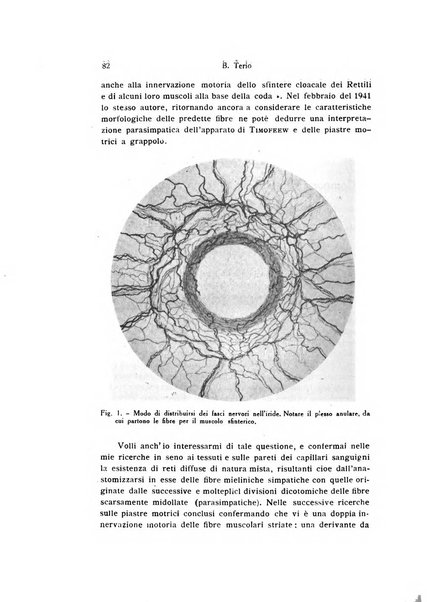 Bollettino di zoologia