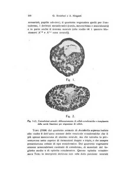 Bollettino di zoologia