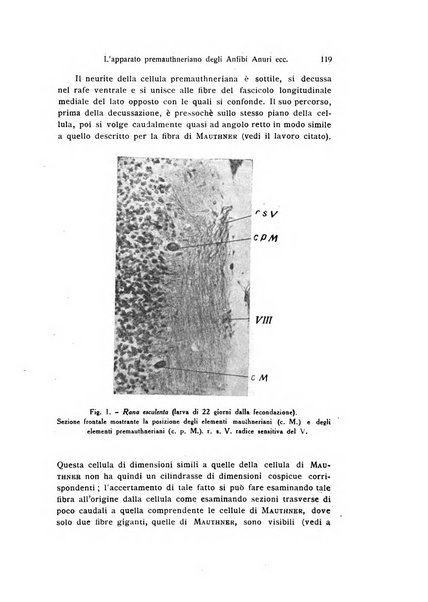 Bollettino di zoologia