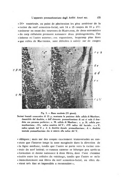 Bollettino di zoologia