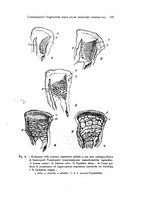 giornale/TO00212453/1942/unico/00000197