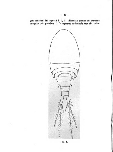 Bollettino di zoologia