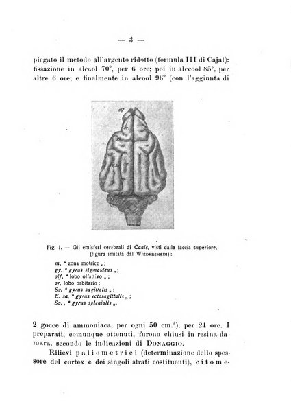 Bollettino di zoologia