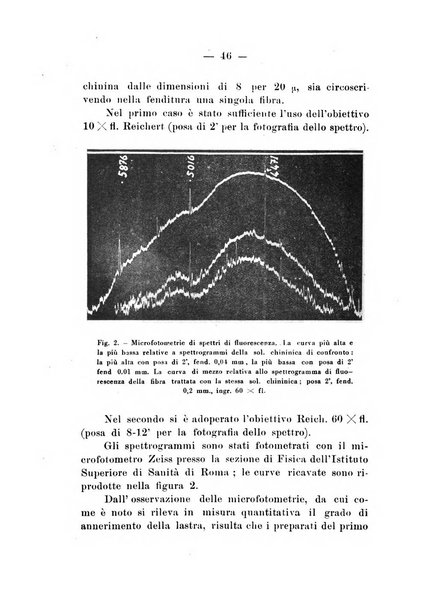 Bollettino di zoologia