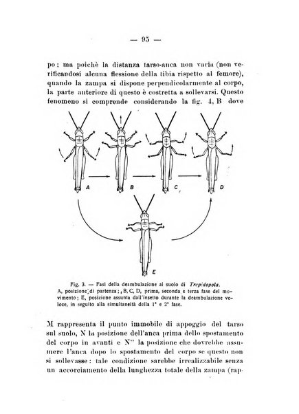 Bollettino di zoologia