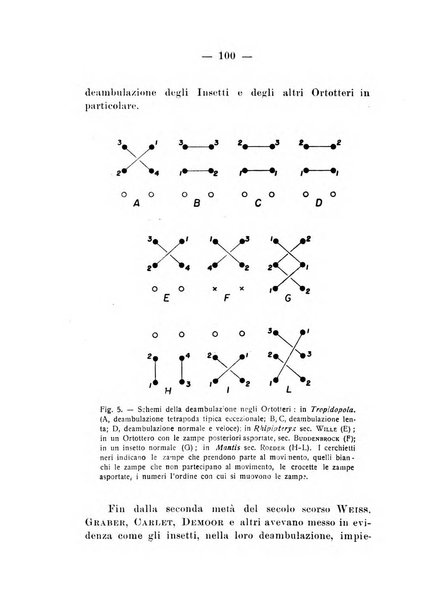 Bollettino di zoologia