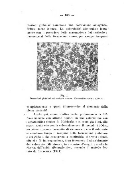 Bollettino di zoologia