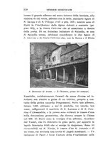 giornale/TO00213447/1922/unico/00000656