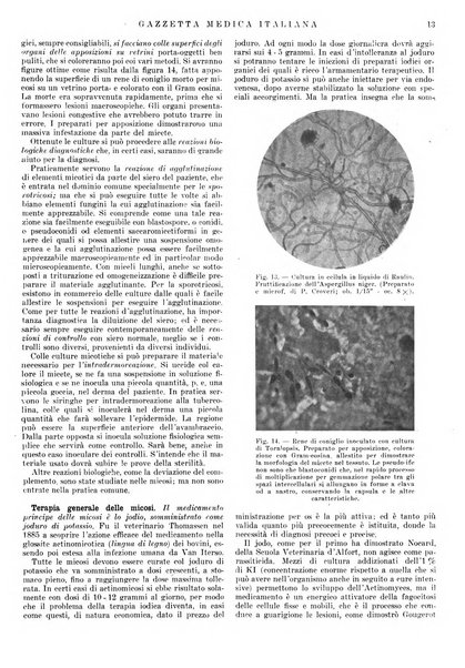 Gazzetta medica italiana