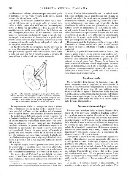 Gazzetta medica italiana