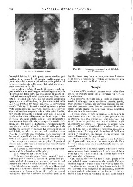 Gazzetta medica italiana