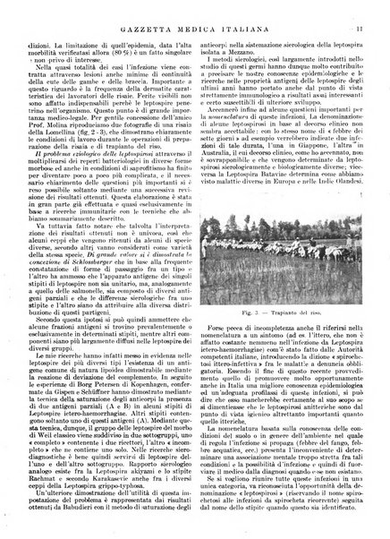 Gazzetta medica italiana