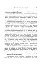 giornale/TO00214455/1924/unico/00000023