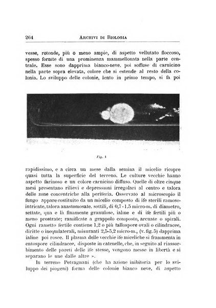 Archivi di biologia applicata alla patologia, alla clinica e all'igiene periodico bimestrale