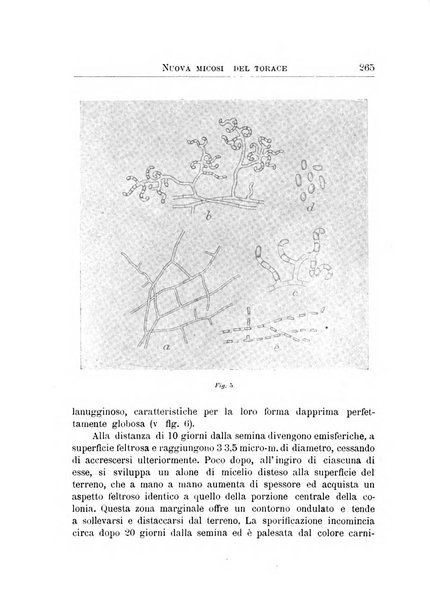 Archivi di biologia applicata alla patologia, alla clinica e all'igiene periodico bimestrale