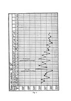 giornale/TO00214455/1926/unico/00000171