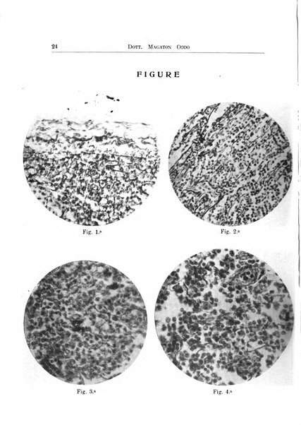 Archivi di biologia applicata alla patologia, alla clinica e all'igiene periodico bimestrale