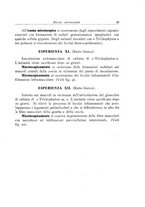 giornale/TO00214455/1927/unico/00000345