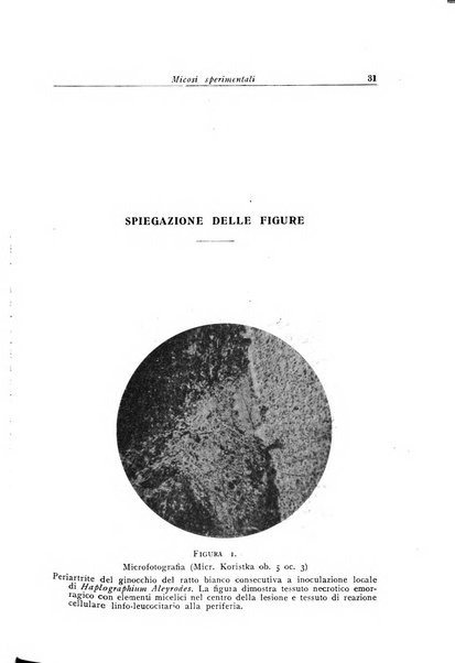 Archivi di biologia applicata alla patologia, alla clinica e all'igiene periodico bimestrale