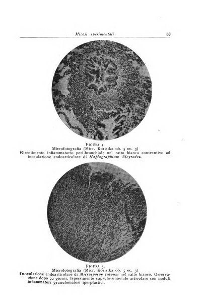 Archivi di biologia applicata alla patologia, alla clinica e all'igiene periodico bimestrale