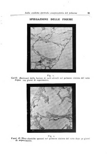 Archivi di biologia applicata alla patologia, alla clinica e all'igiene periodico bimestrale