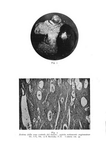 Archivi di biologia applicata alla patologia, alla clinica e all'igiene periodico bimestrale